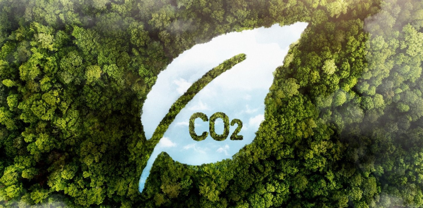 Carbon Emissions Carbon Emissions